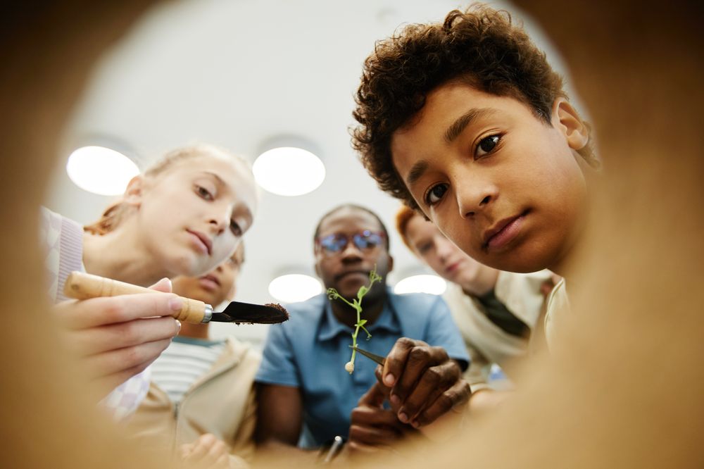 Why Fractions Trip Up So Many Kids (Grades 4–6) — and How to Fix It